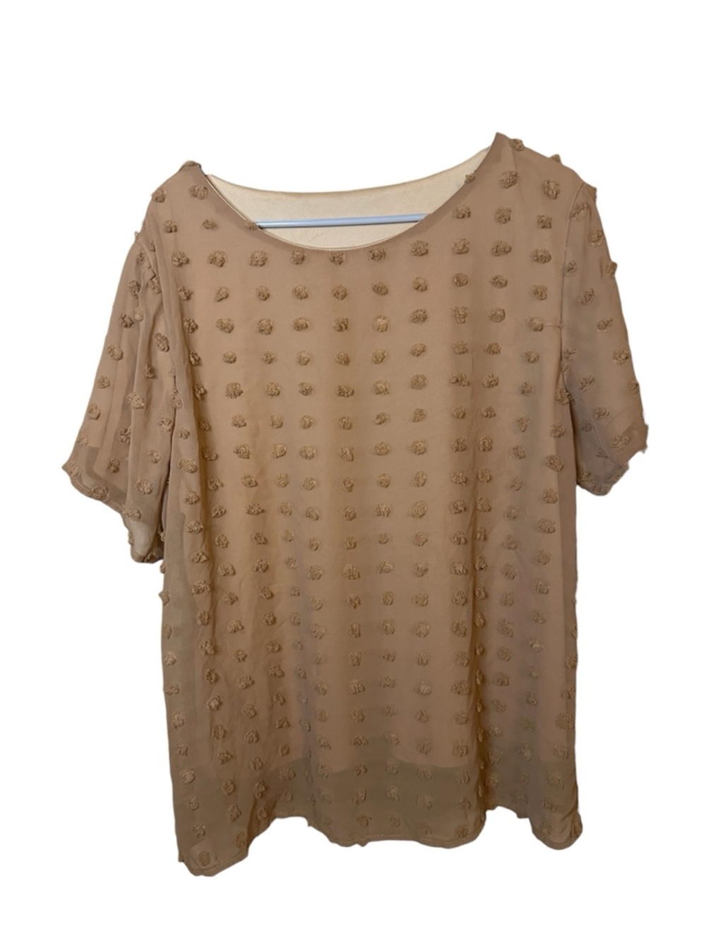 Light Brown Swiss Dot Blouse 2XL